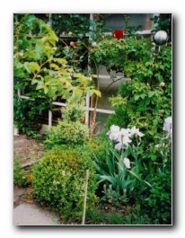 Kliknite za pove�avo slike