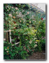 Kliknite za pove�avo slike