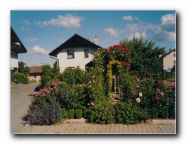 Kliknite za pove�avo slike