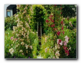 Kliknite za pove�avo slike