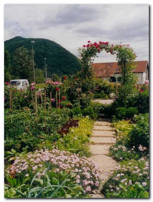 Zelenjavni vrt, v ozadju Grmada.