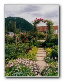 Kliknite za pove�avo slike