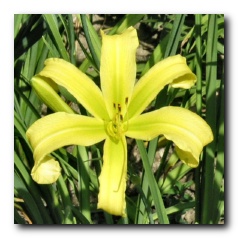 Kliknite za povečavo slike