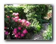 Kliknite za pove�avo slike