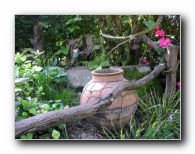 Kliknite za pove�avo slike