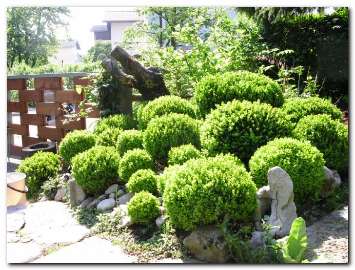 Zdru�ba pu�panov