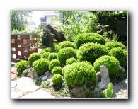 Kliknite za pove�avo slike