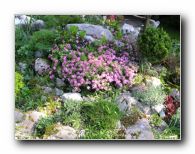 Kliknite za pove�avo slike