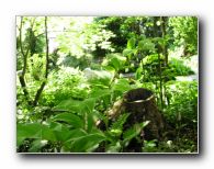 Kliknite za pove�avo slike