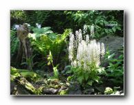 Kliknite za pove�avo slike