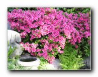 Kliknite za pove�avo slike