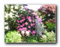 Kliknite za pove�avo slike