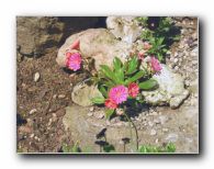 Kliknite za pove�avo slike