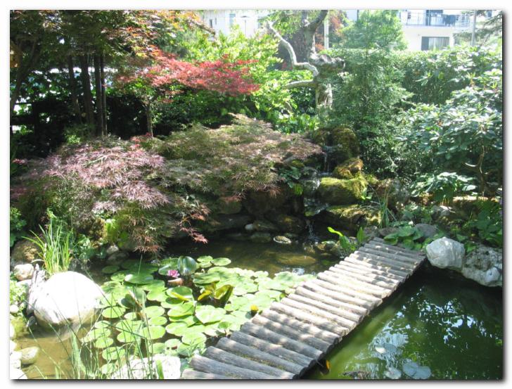 Vodni motiv: japonski<br>pahlja�asti javorji in lokvanji