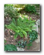 Kliknite za pove�avo slike