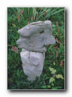 Kliknite za pove�avo slike