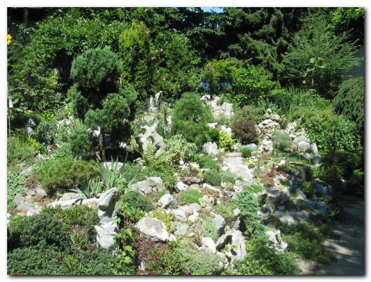 Miniaturni grmi�ki in<br>trajnice v skalnjaku