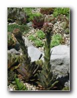 Kliknite za pove�avo slike