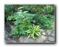 Kliknite za pove�avo slike