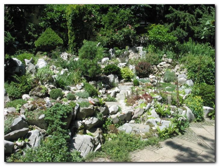 Skalnjak z<br>raznovrstnimi netreski