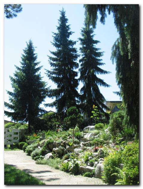 Vitke omorike zastirajo <br>pogled s ceste