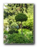 Kliknite za pove�avo slike