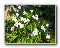 Kliknite za pove�avo slike