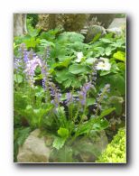 Kliknite za pove�avo slike