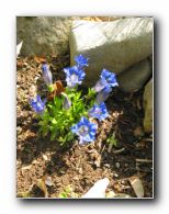 Kliknite za pove�avo slike