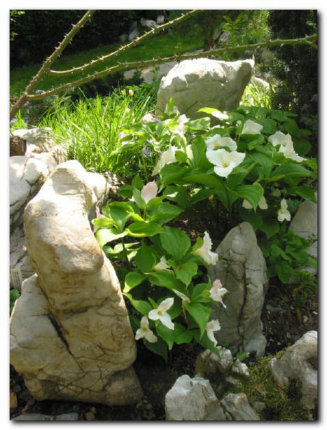 Trolisti v objemu skal