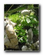 Kliknite za pove�avo slike