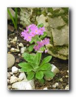 Kliknite za pove�avo slike