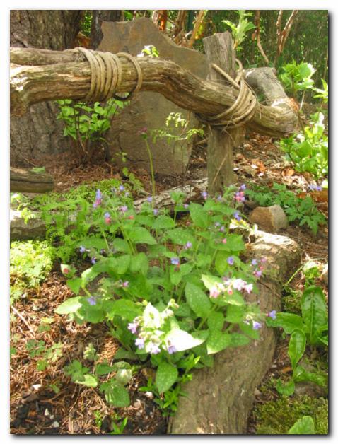 Plju�nik, nad njim je s<br>srobotom povezan plot