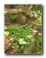 Kliknite za pove�avo slike