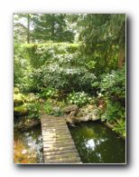 Kliknite za pove�avo slike