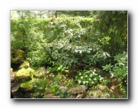 Kliknite za pove�avo slike