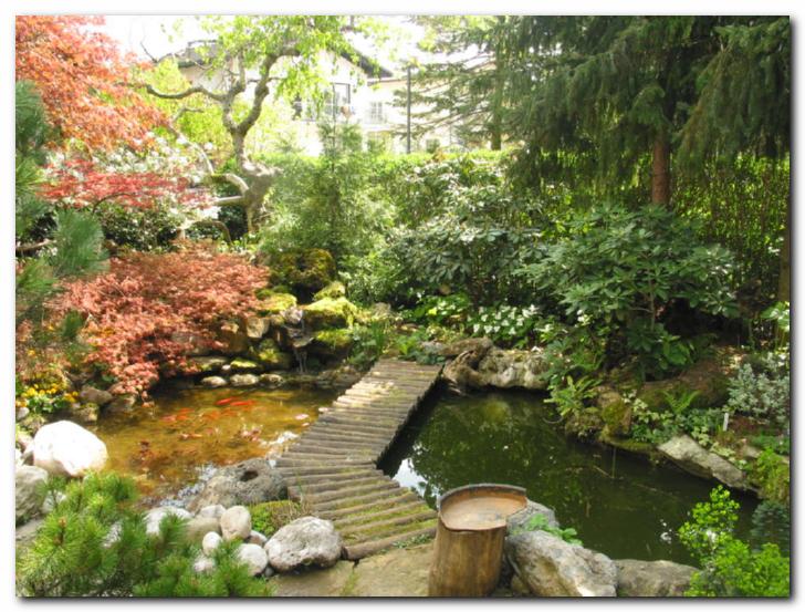 Vodni motiv<br>z japonskim pridihom