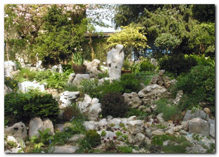 Med skalami in peskom<br>je raj za netreske