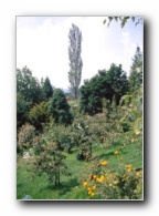 Kliknite za pove�avo slike