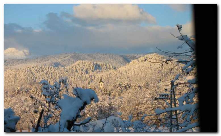 Proti zahodu se razprostirajo<br>gozdovi, v ozadju Triglav