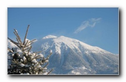 Kliknite za pove�avo slike
