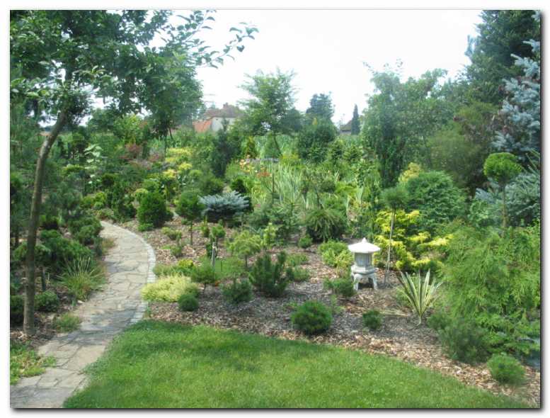 V tem delu vrta kraljujejo nizki iglavci