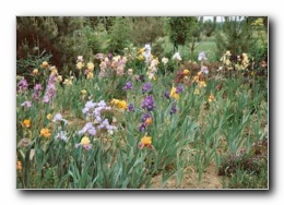 Kliknite za pove�avo slike