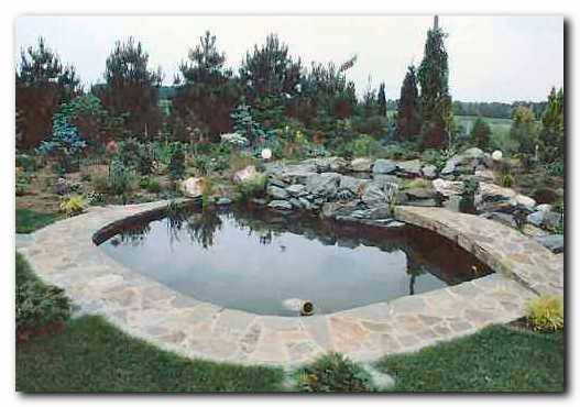 Bajer prvo leto po izgradnji