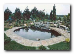 Kliknite za pove�avo slike