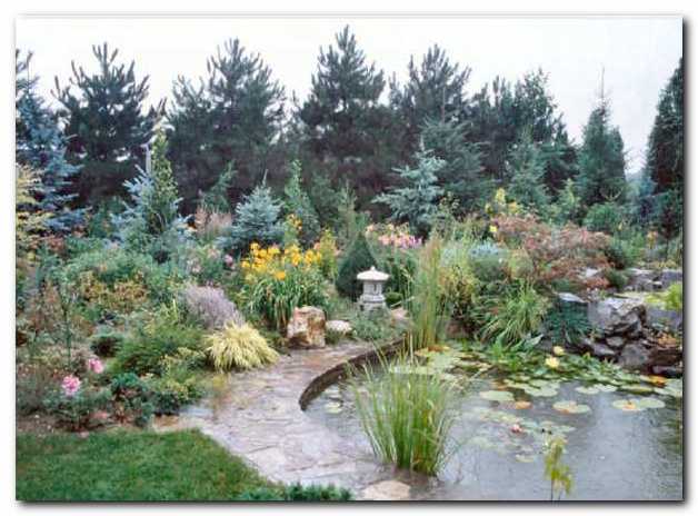 Obvodni in vodni vrt tretje leto po izgradnji (fotografirano v de�ju)