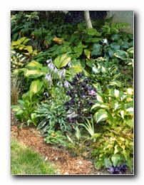 Kliknite za pove�avo slike