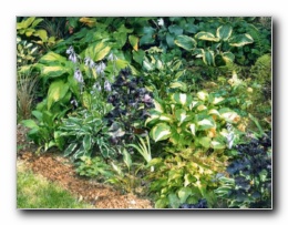 Kliknite za pove�avo slike