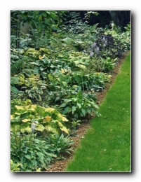 Kliknite za pove�avo slike