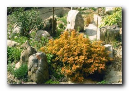 Kliknite za pove�avo slike